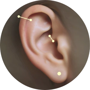 Emplacement piercing Helix Daith Lobe